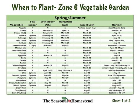 Printable Zone 6 Planting Schedule